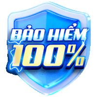 Bảo hiểm 100%